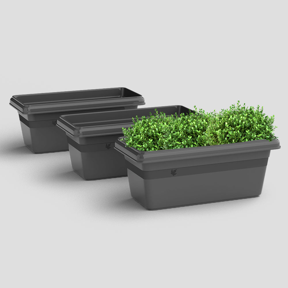 SHERA | TP PLANTER
