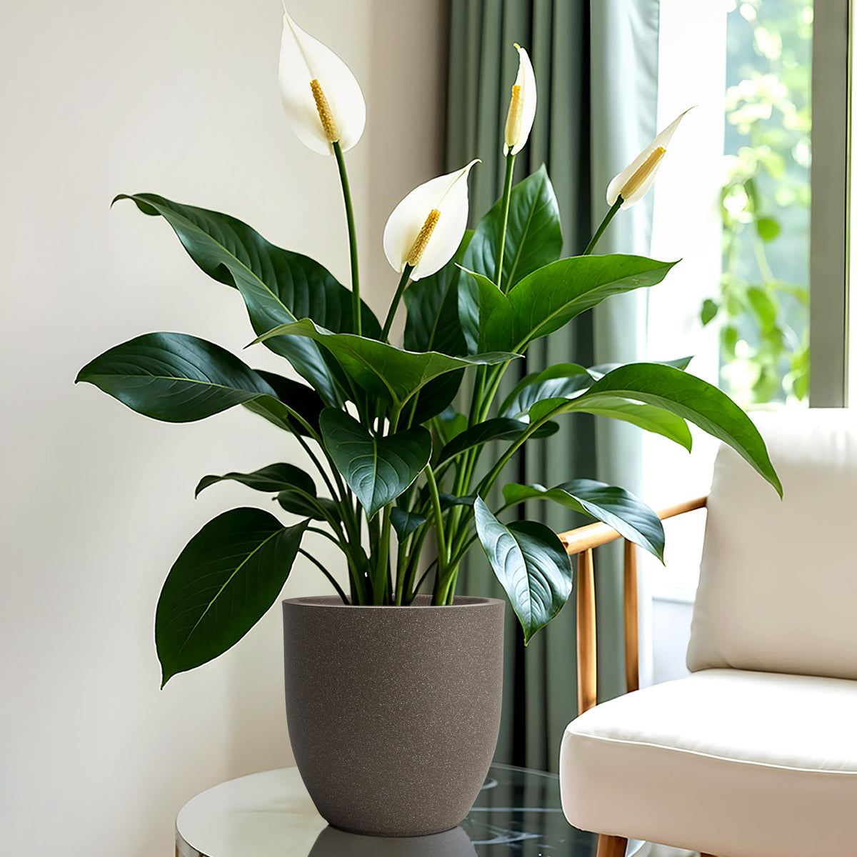 FOX B | P CUP PLANTER 6 INCH TO 15 INCH