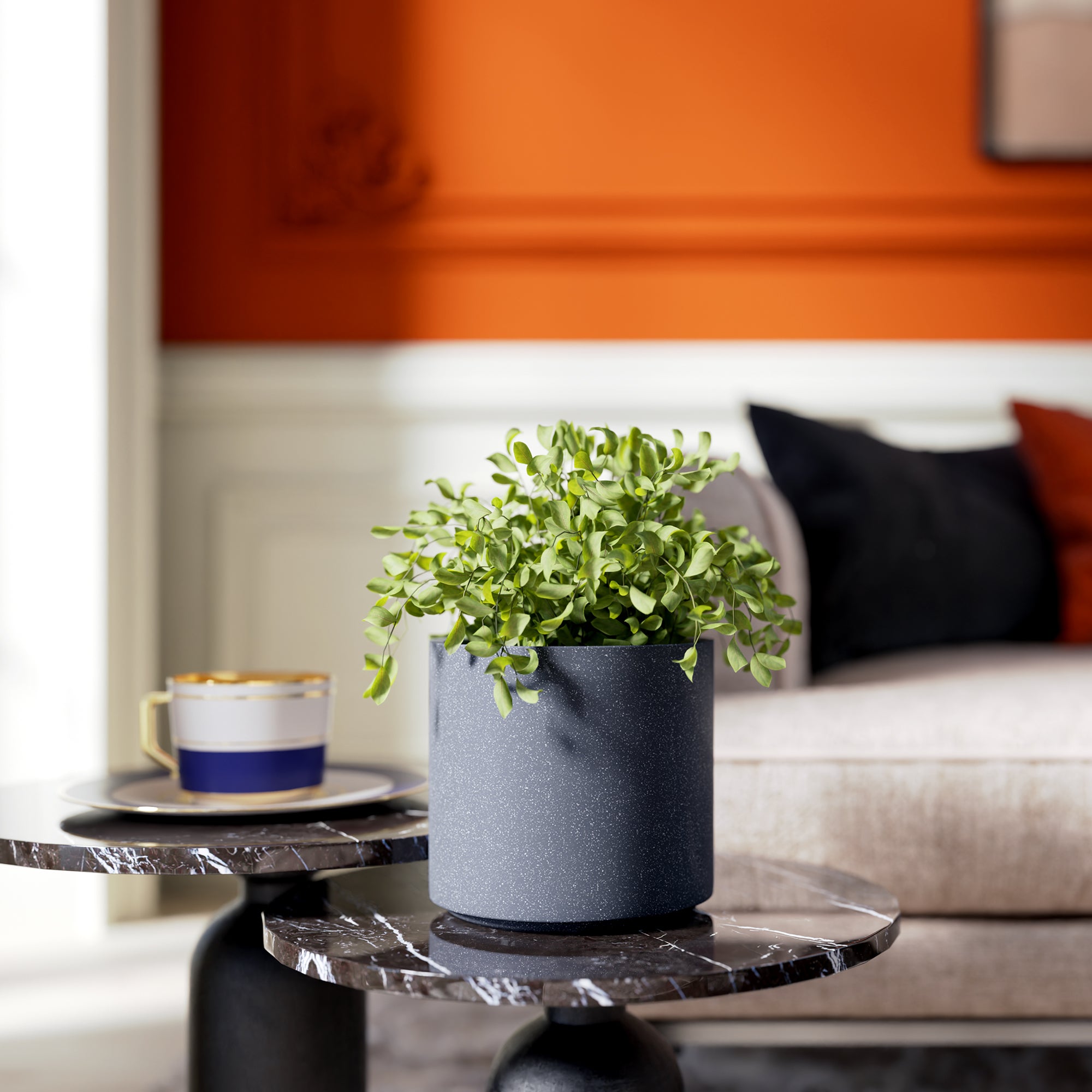 FOX B | CILIN PLANTER