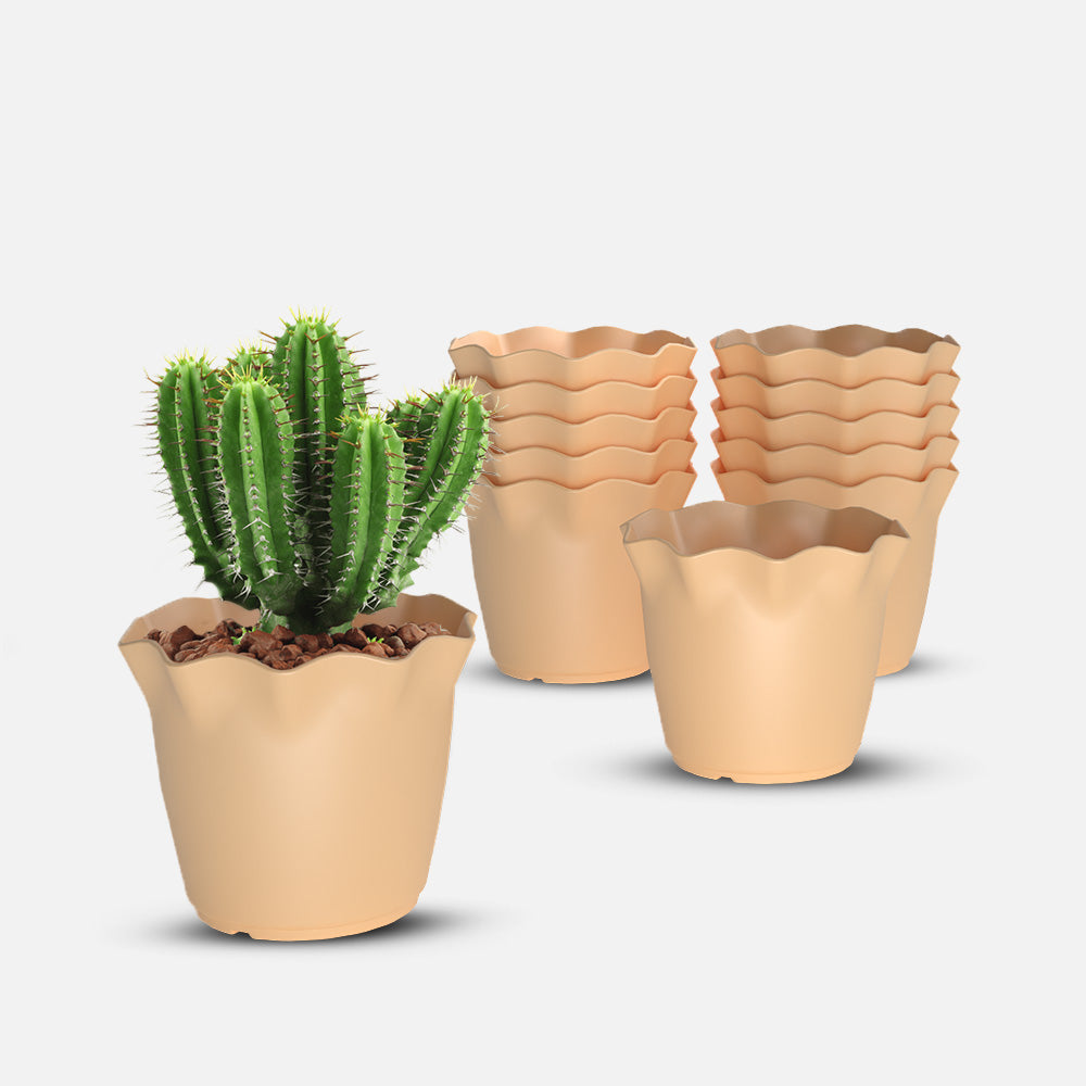 SHERA | FLOWER PLANTER