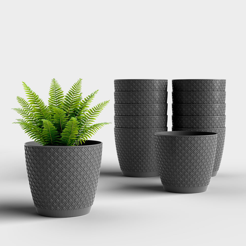 SHERA | CRUZ PLANTER