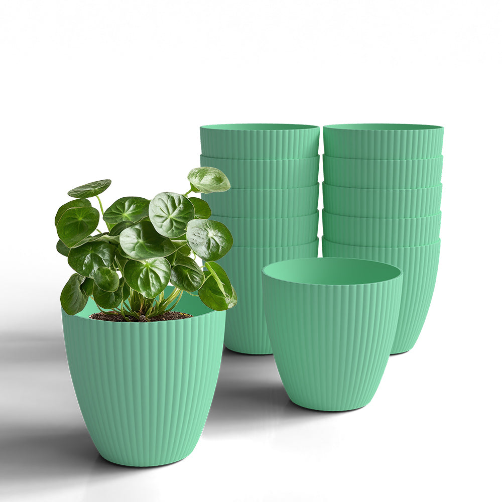 SHERA | LOTUS PLANTER