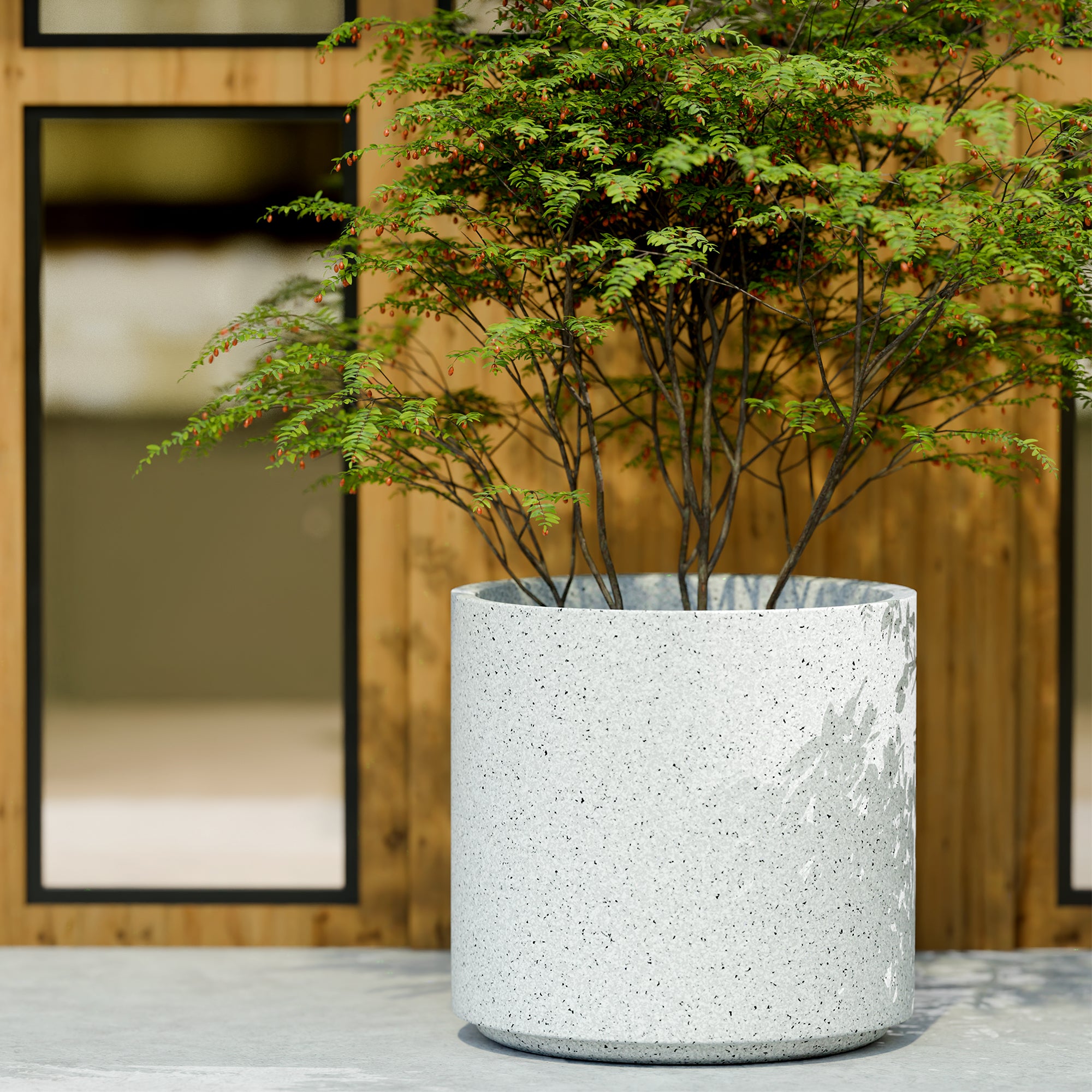 FOX B | CILIN PLANTER
