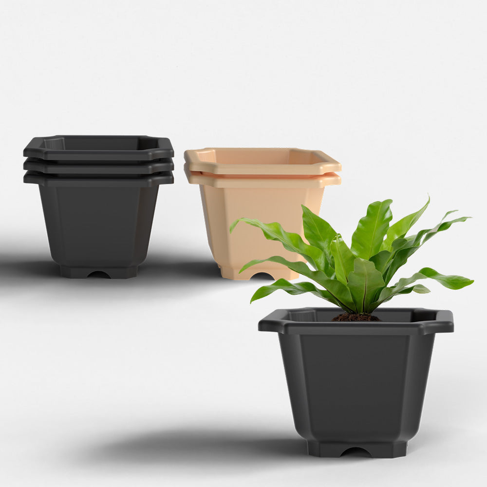 SHERA | OCTA PLANTER SET OF 6