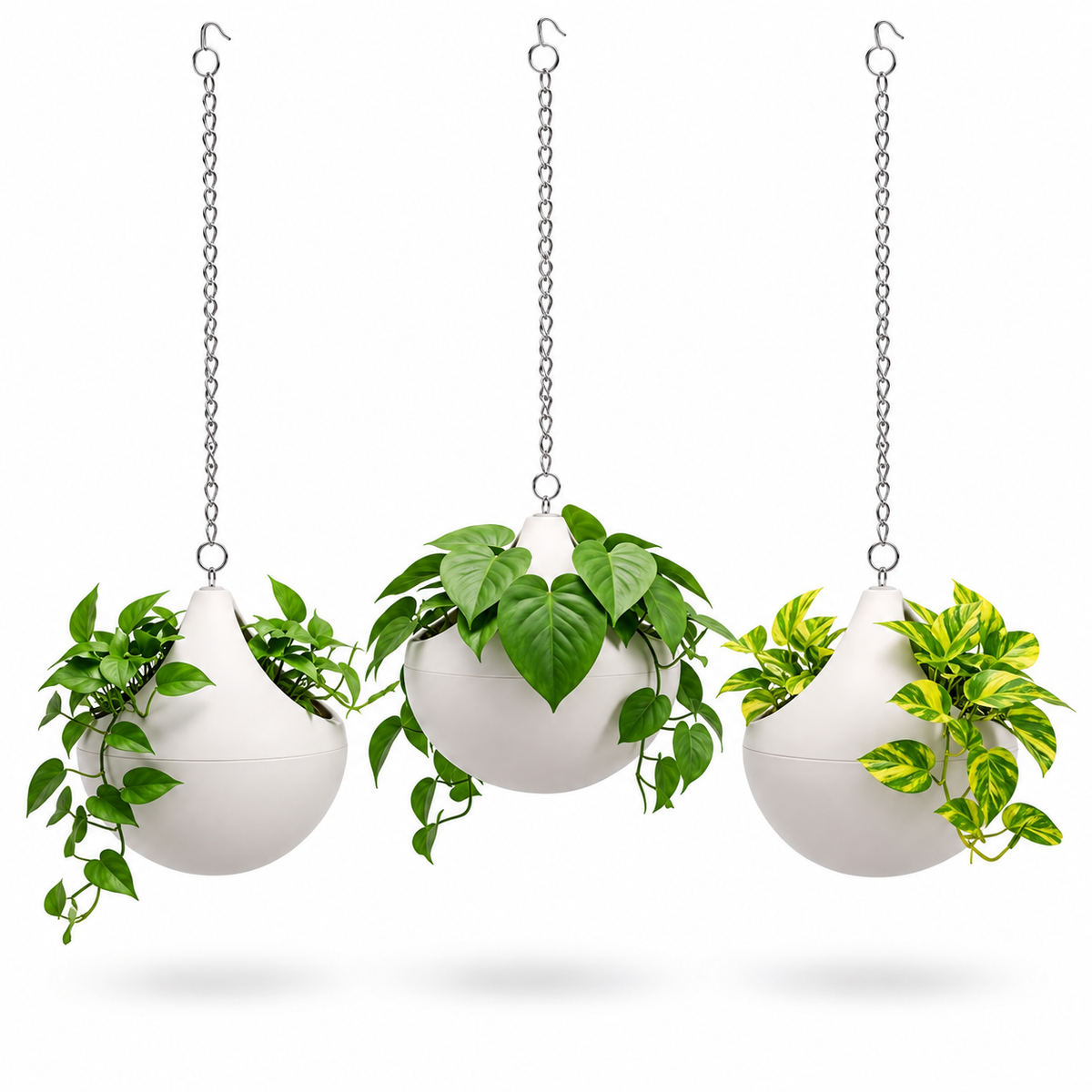 SHERA | DOLO PLANTER