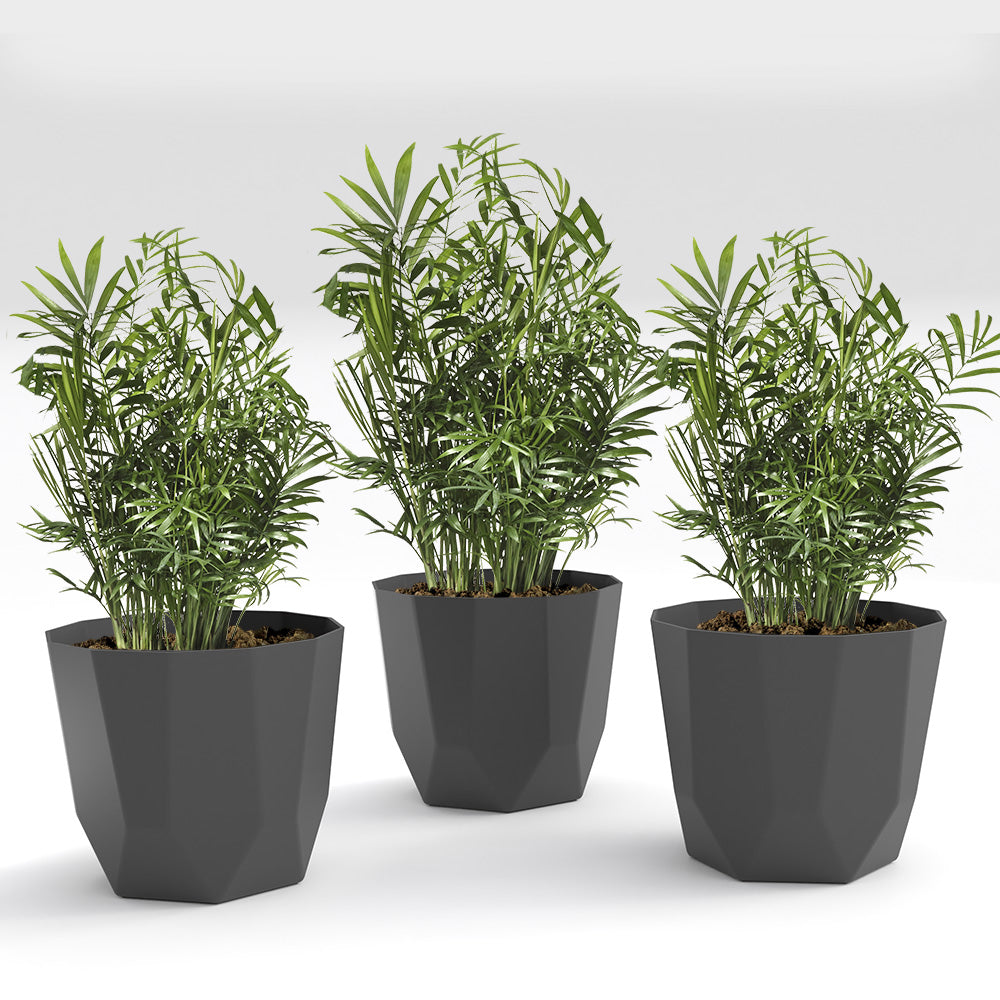 SHERA | HEXA PLANTER