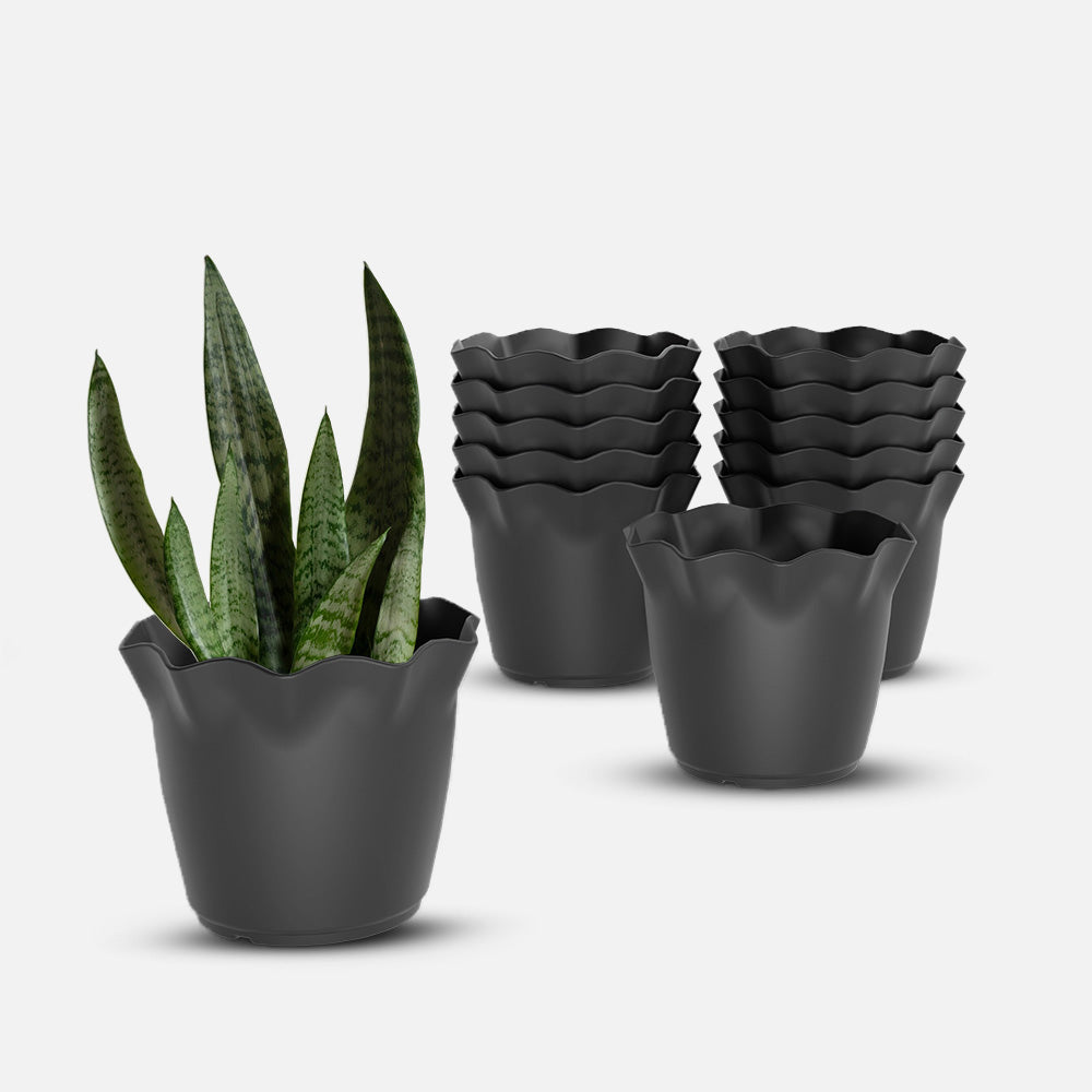 SHERA | FLOWER PLANTER