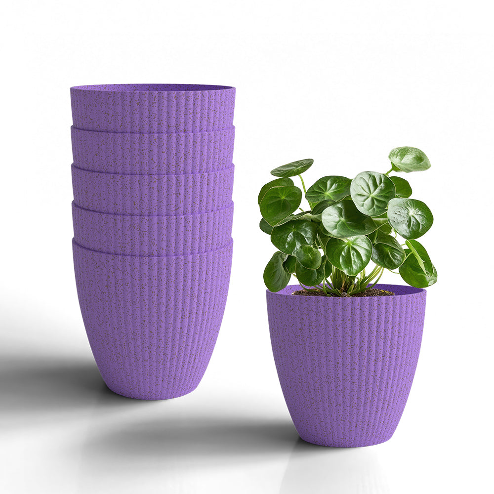 SHERA | LOTUS BIO PLANTER
