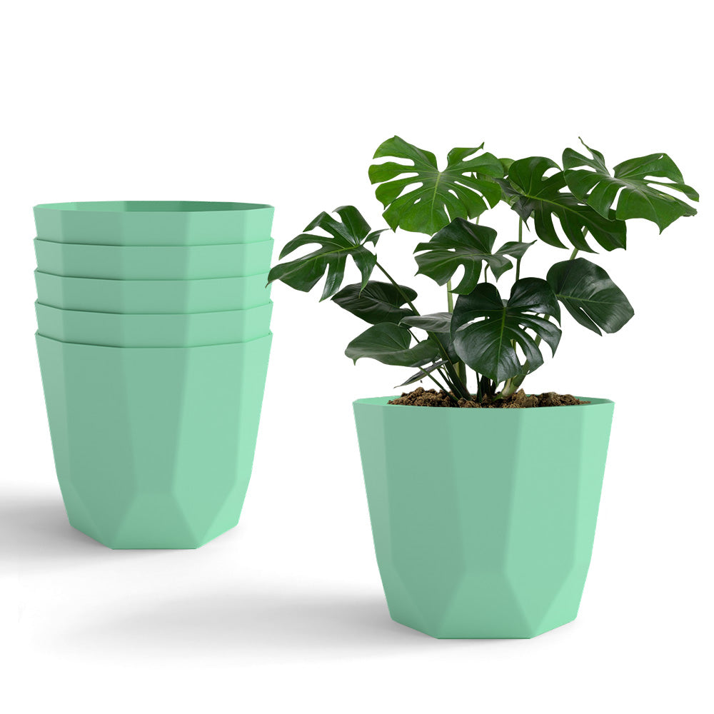 SHERA | HEXA PLANTER