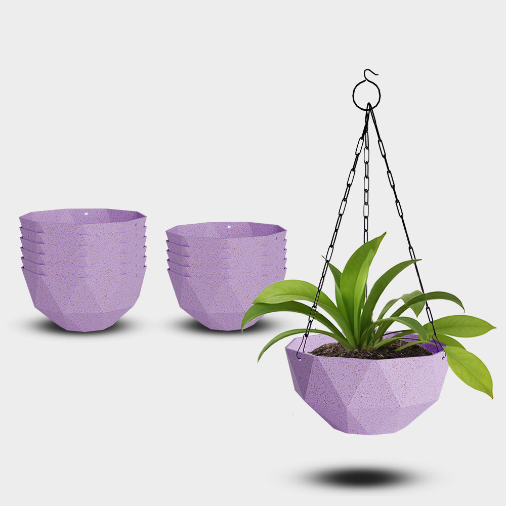 SHERA | DMD KTR BIO HANGING