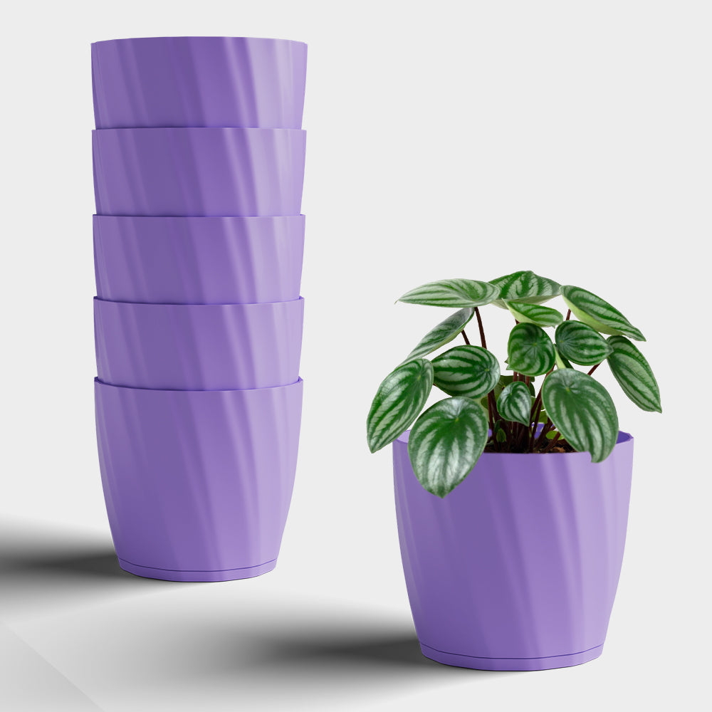 SHERA | ZINNIA PLANTER