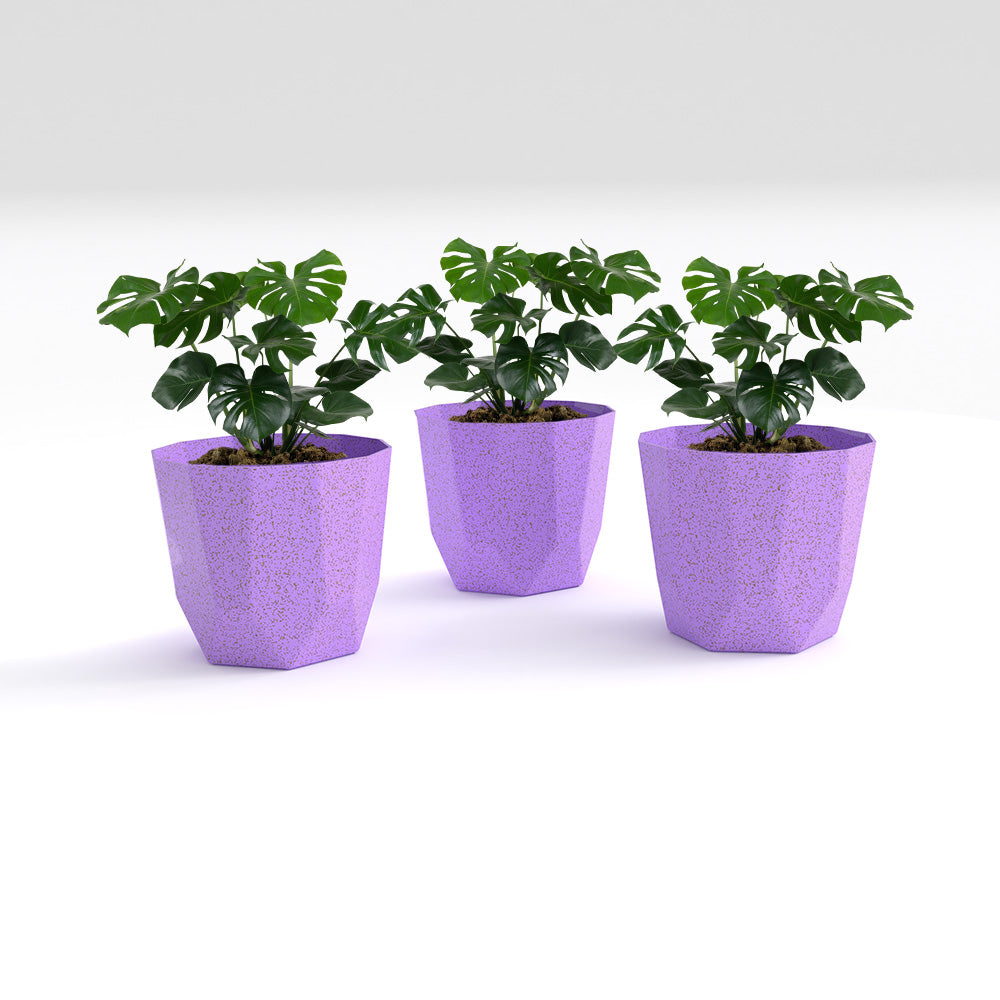 SHERA | HEXA BIO PLANTER