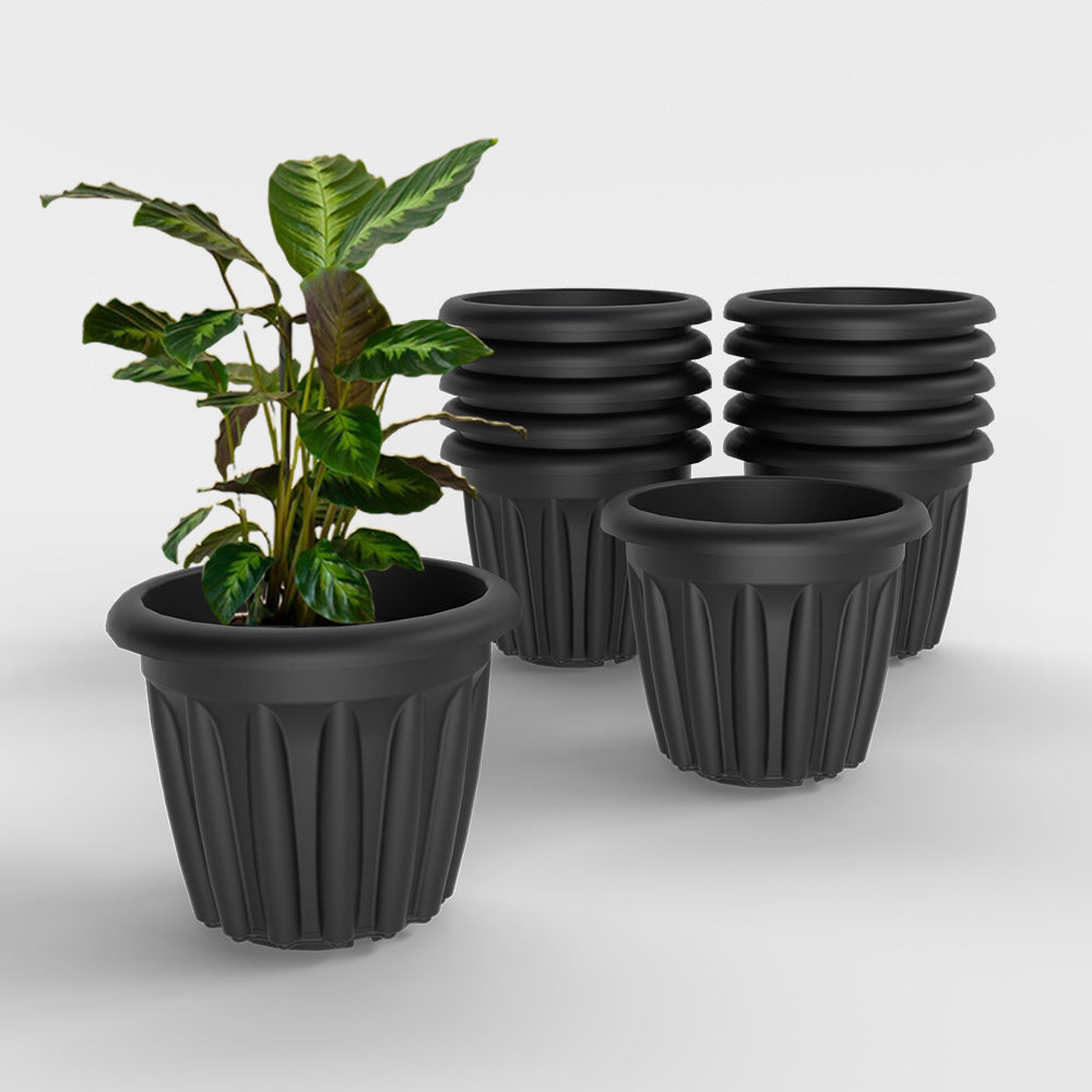 SHERA | FLOOT PLANTER