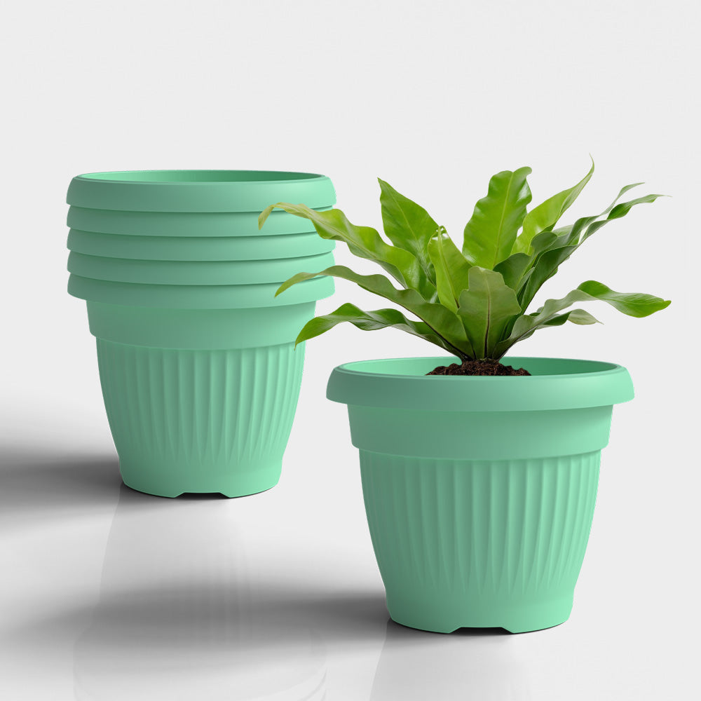 SHERA | BLOOM PLANTER