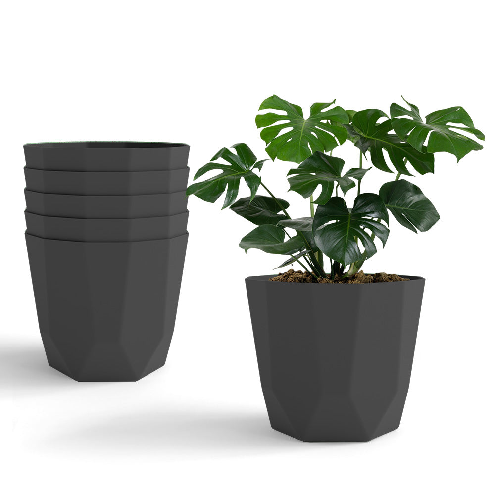 SHERA | HEXA PLANTER