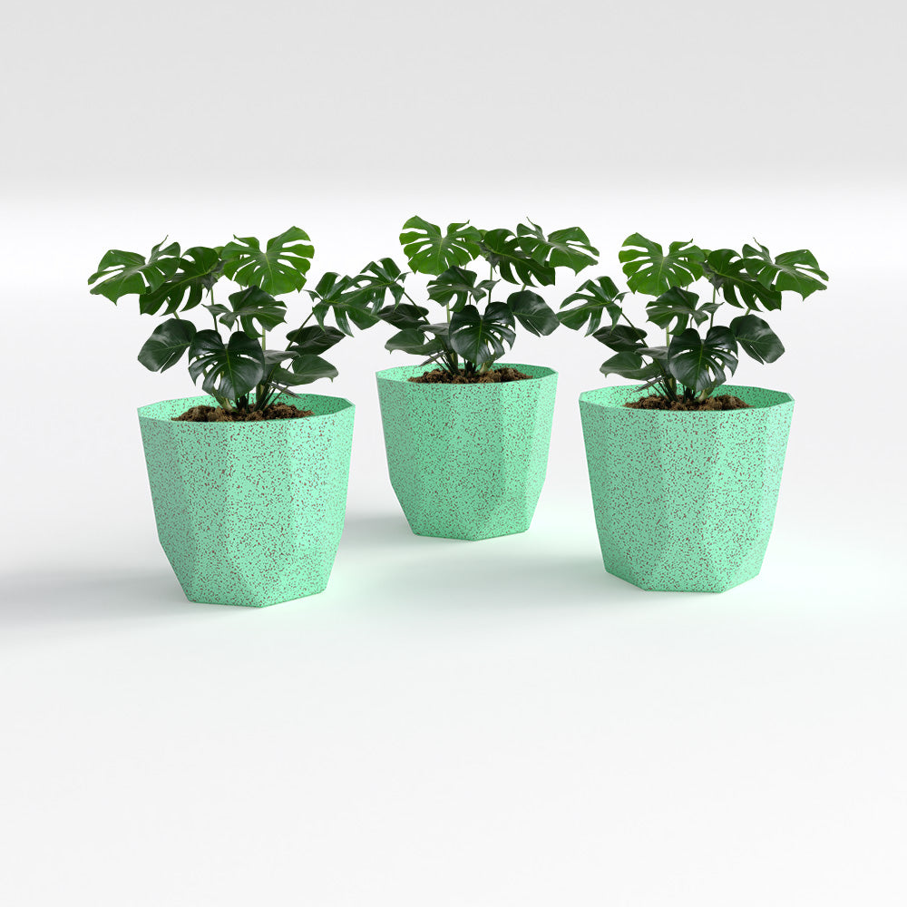 SHERA | HEXA BIO PLANTER