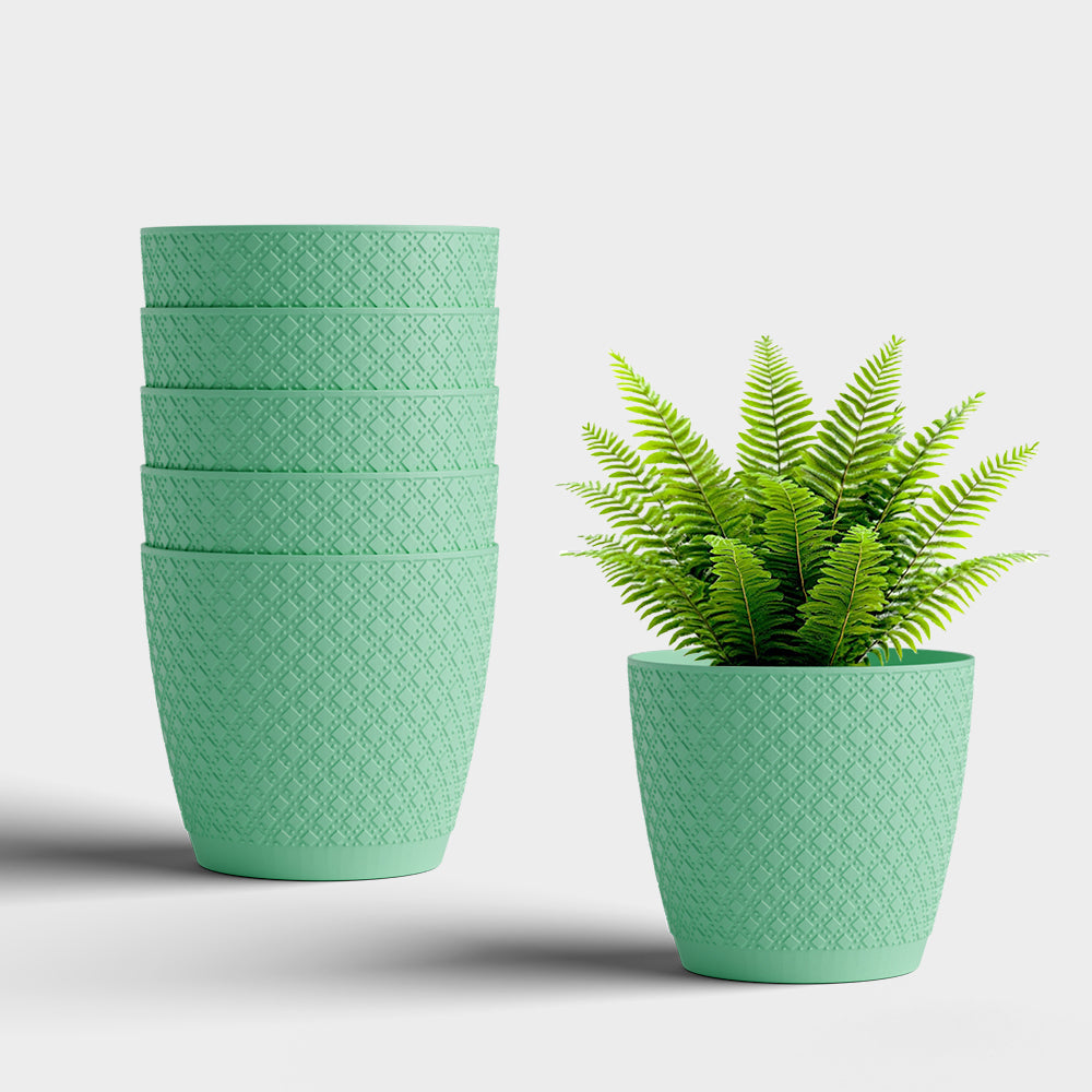 SHERA | CRUZ PLANTER