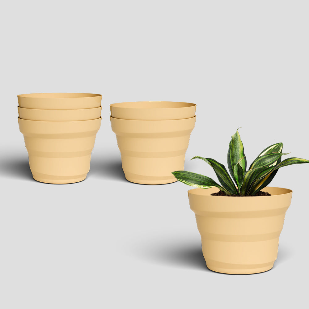 SHERA | RING PLANTER