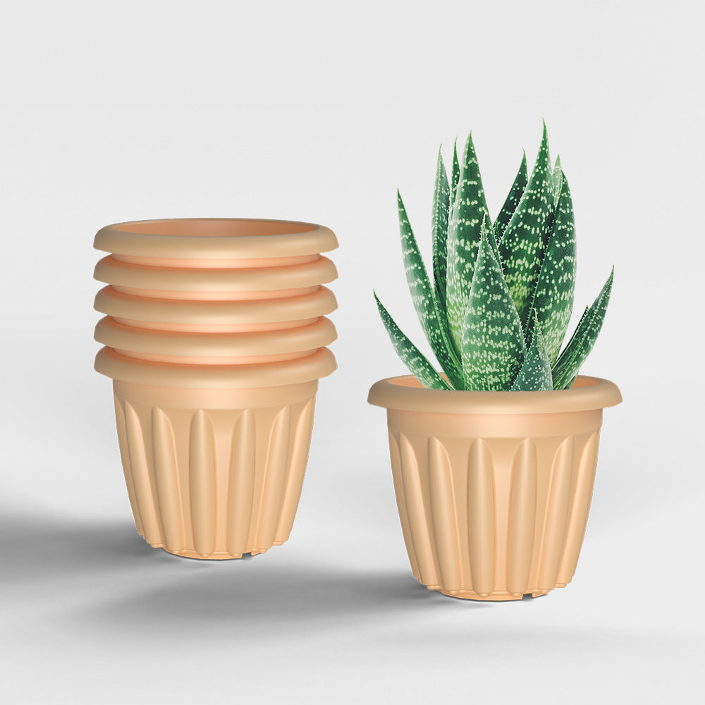 SHERA | FLOOT PLANTER