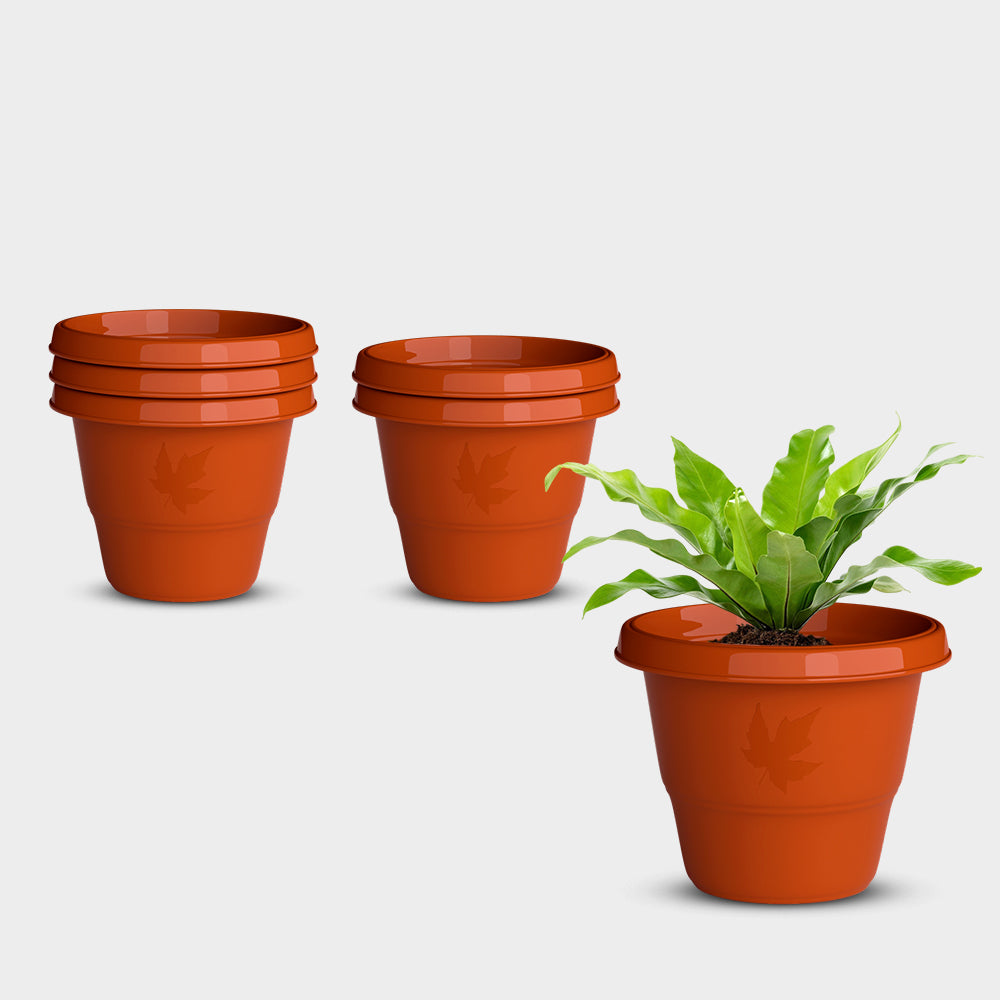 SHERA | RD PLANTER