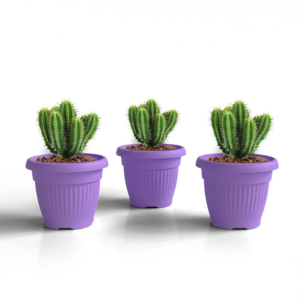 SHERA | BLOOM PLANTER