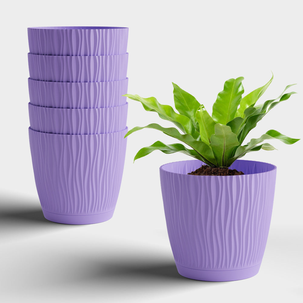 SHERA | EVA PLANTER