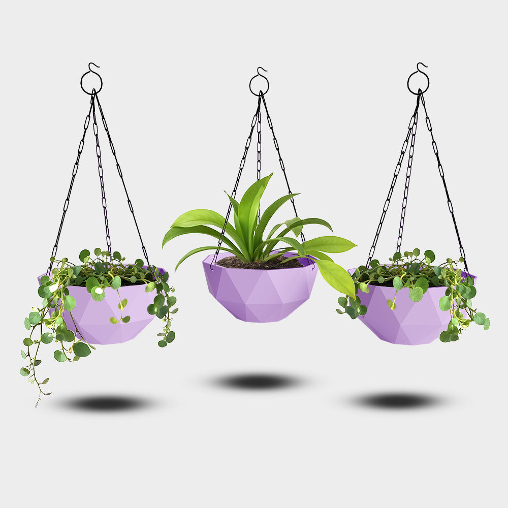 SHERA | DMD HANGING
