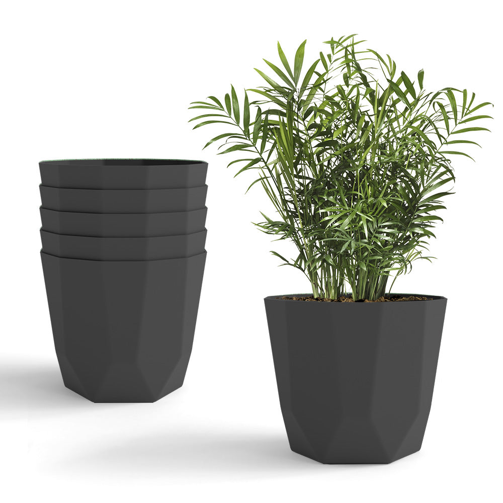 SHERA | HEXA PLANTER