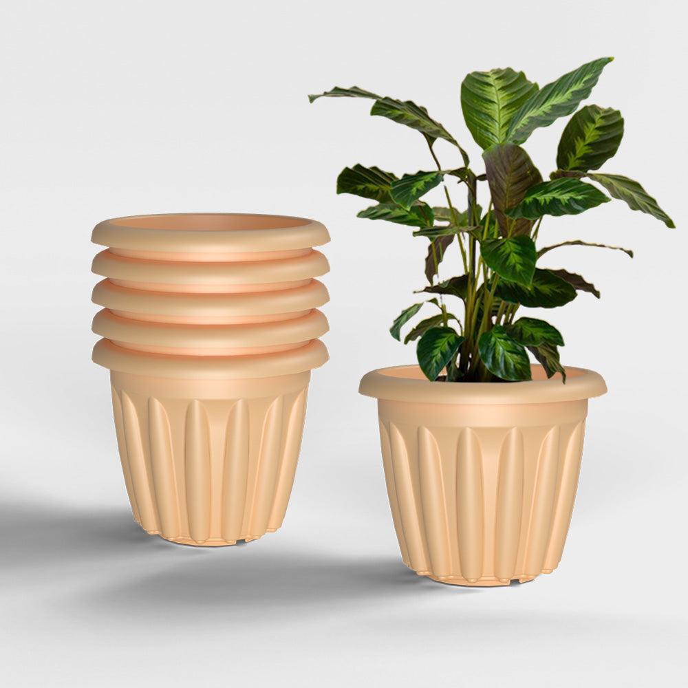 SHERA | FLOOT PLANTER