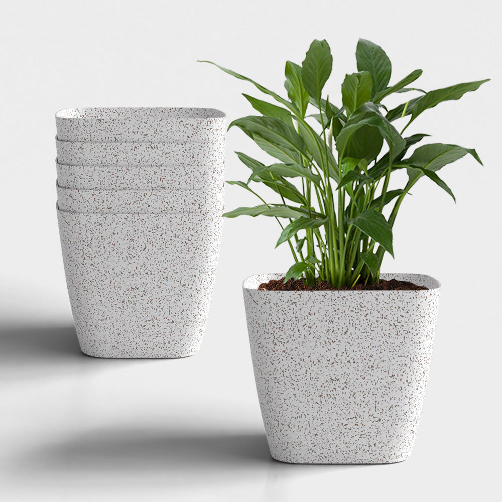 SHERA | STOIC PLANTER