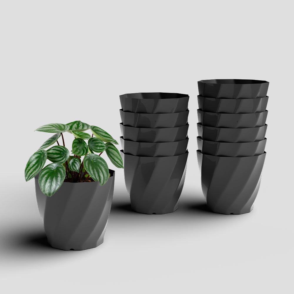 SHERA | SWIRL PLANTER