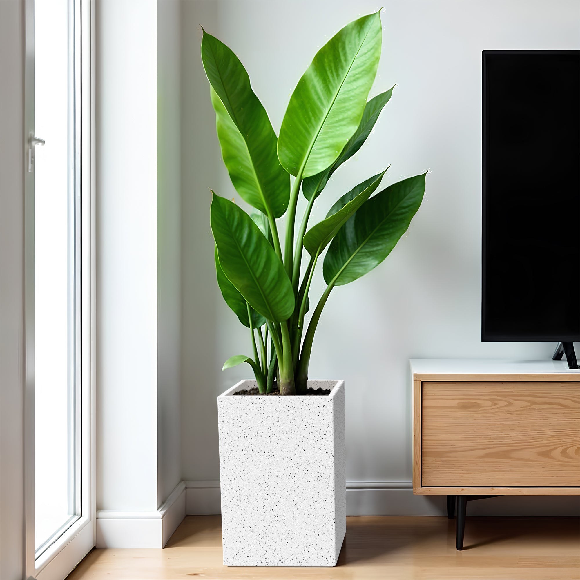 FOX B | CUBO TALL PLANTER