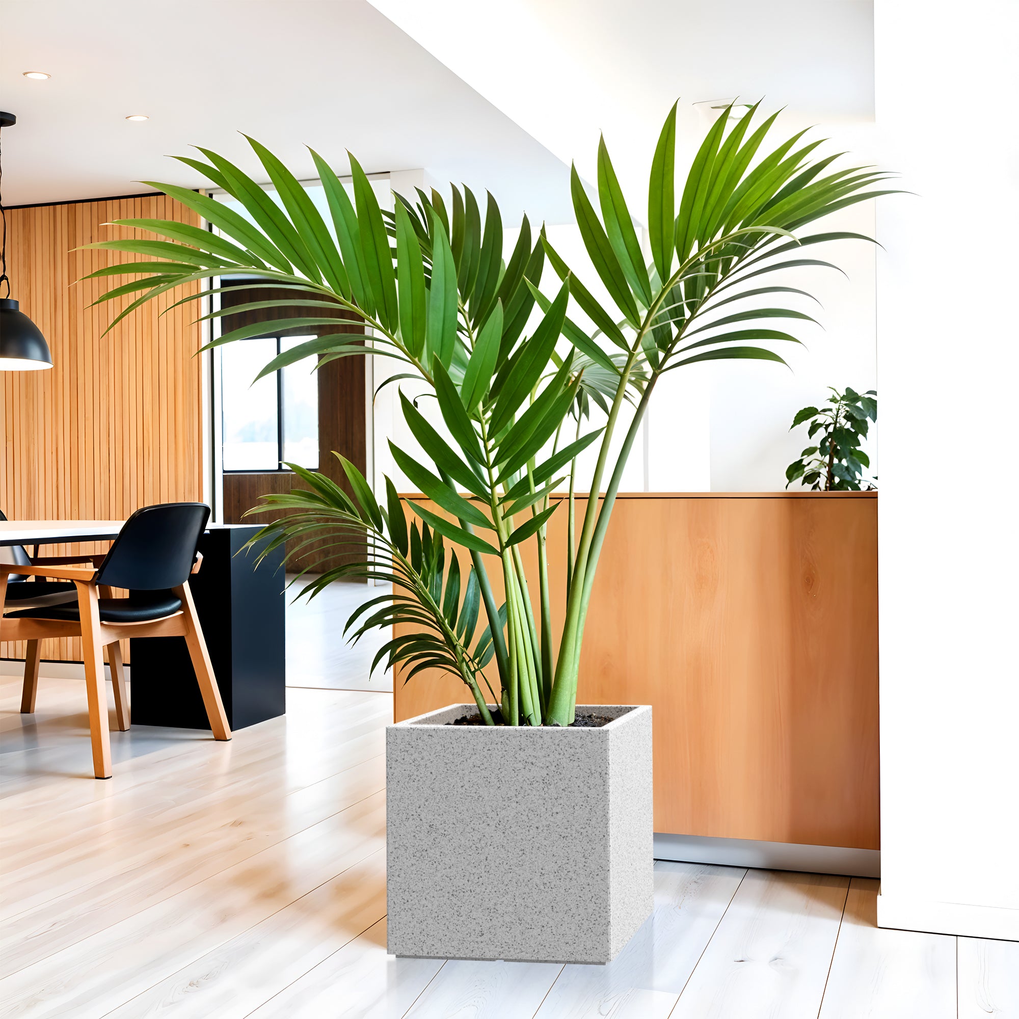 FOX B | CUBO PLANTER