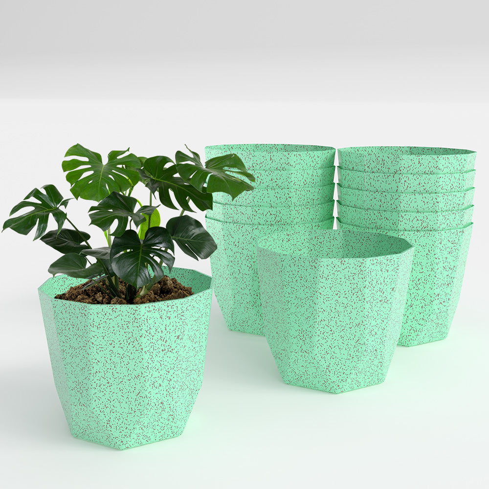 SHERA | HEXA BIO PLANTER
