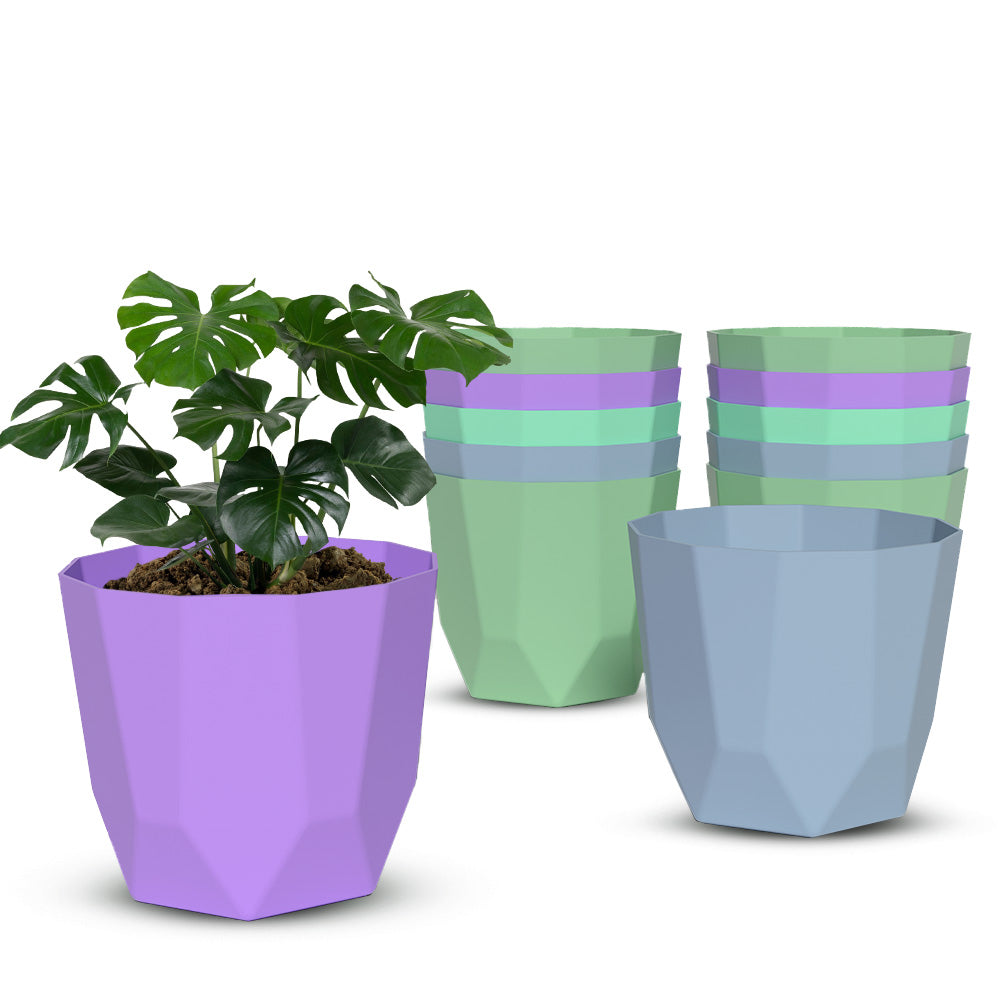 SHERA | HEXA PLANTER