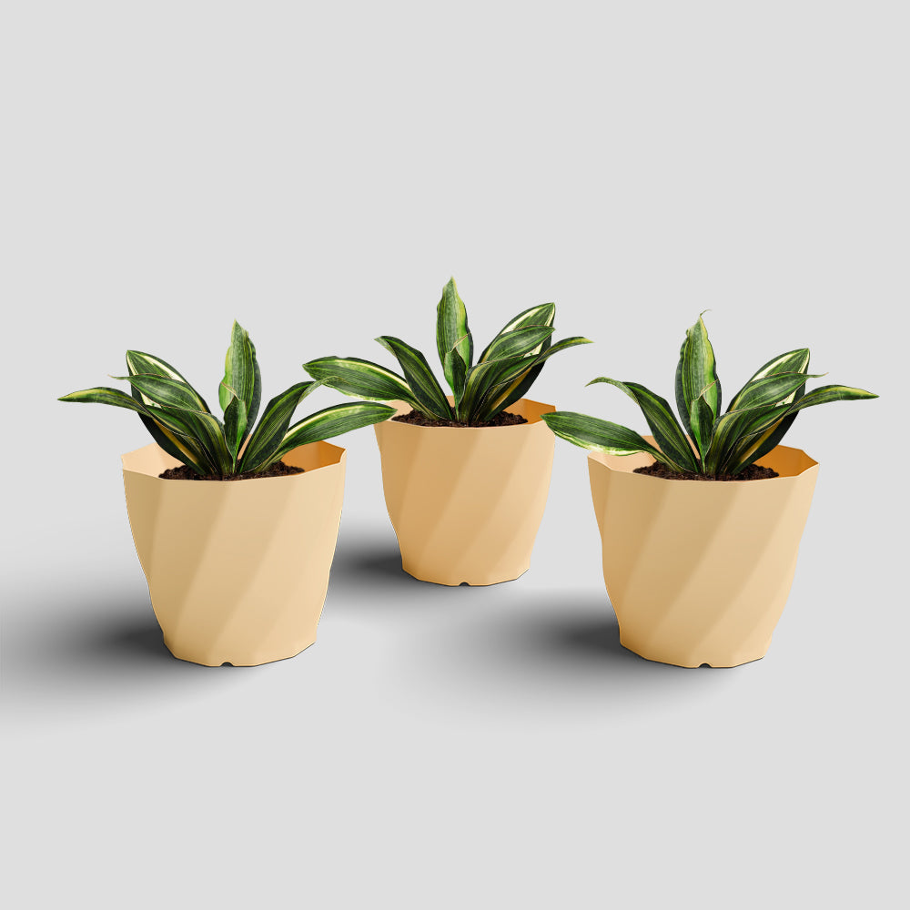 SHERA | SWIRL PLANTER