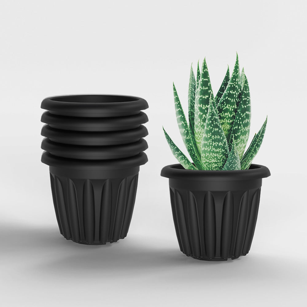 SHERA | FLOOT PLANTER