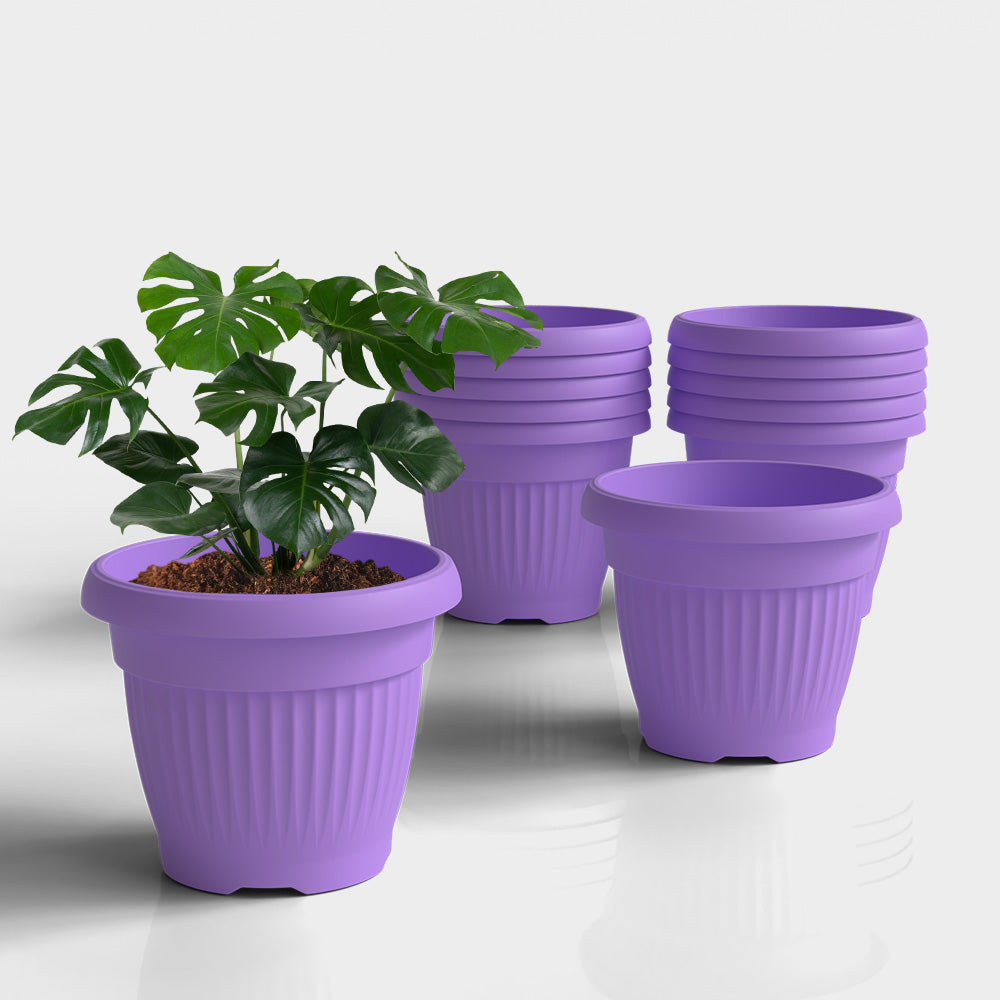 SHERA | BLOOM PLANTER
