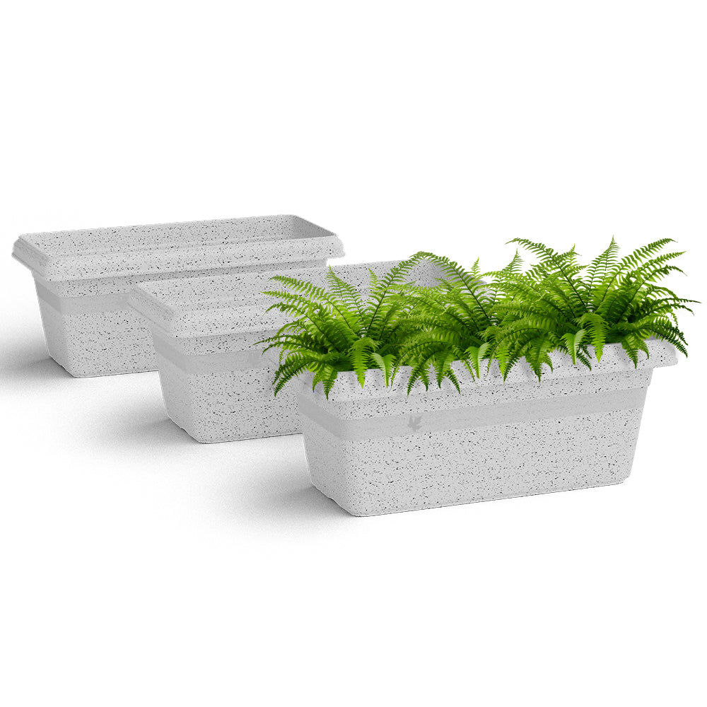 SHERA | TP PLANTER