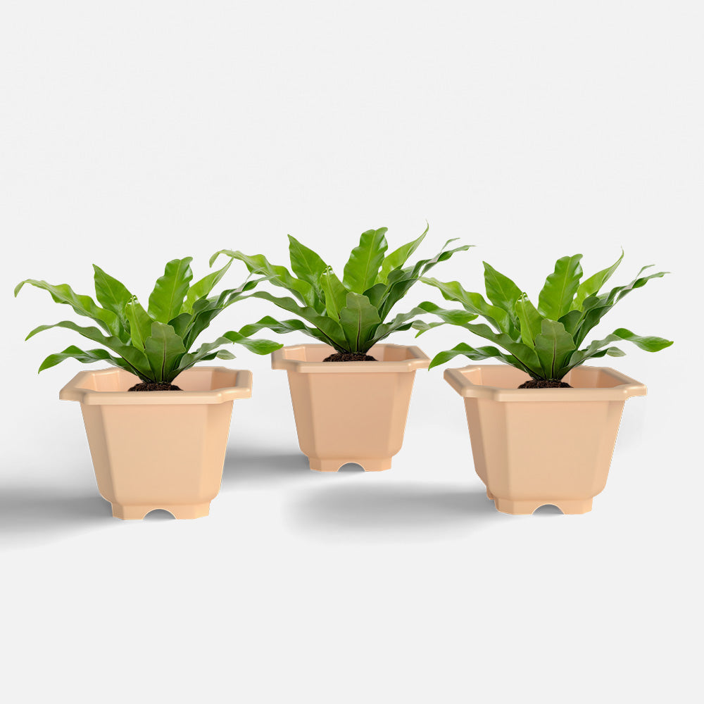 SHERA | OCTA PLANTER SET OF 3