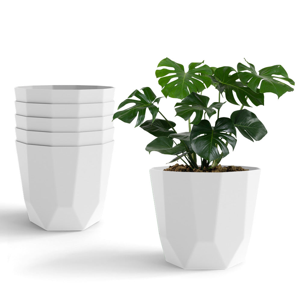 SHERA | HEXA PLANTER