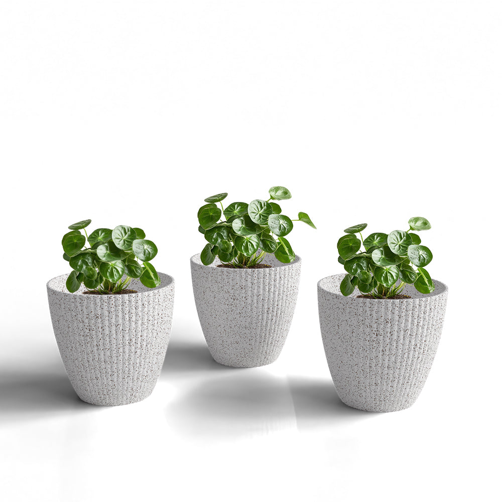 SHERA | LOTUS BIO PLANTER