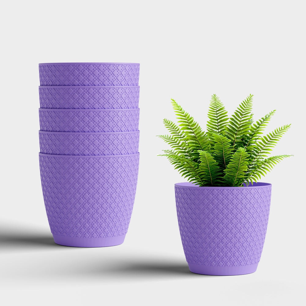 SHERA | CRUZ PLANTER