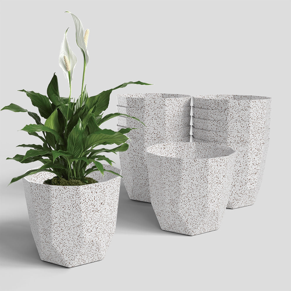 SHERA | HEXA PLANTER