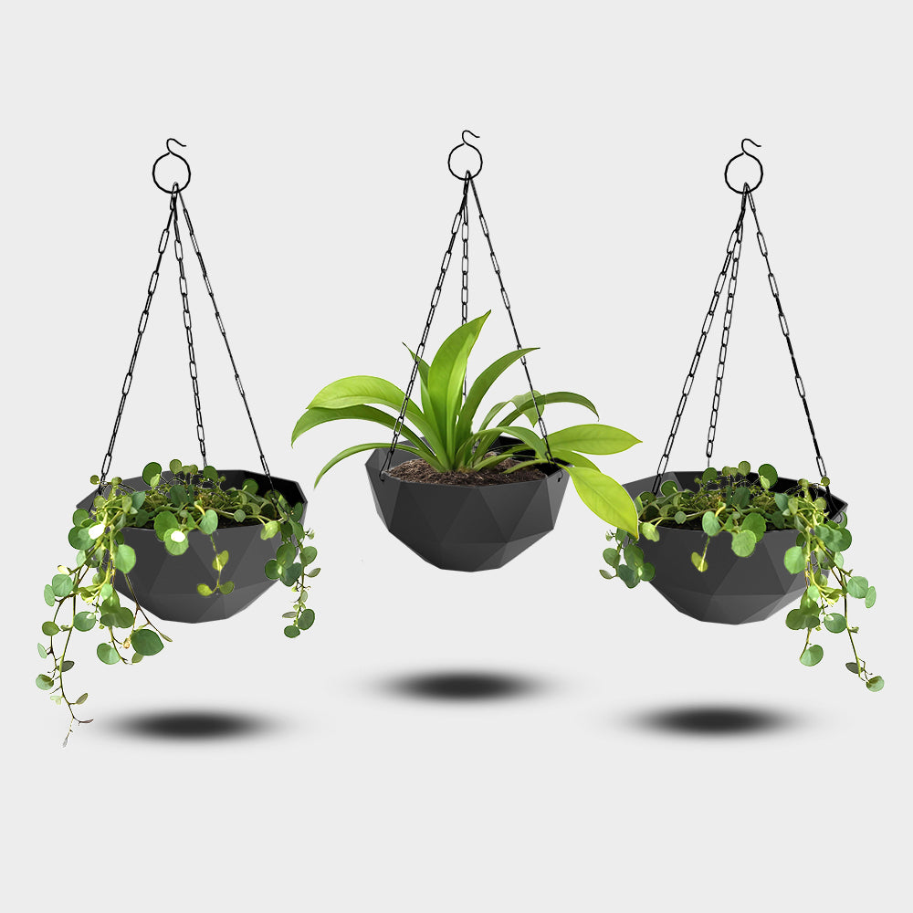 SHERA | DMD KTR HANGING