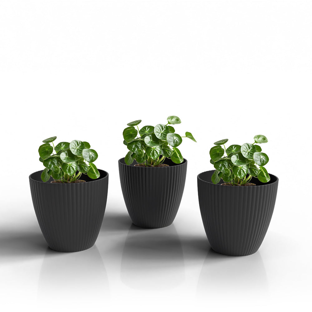 SHERA | LOTUS PLANTER