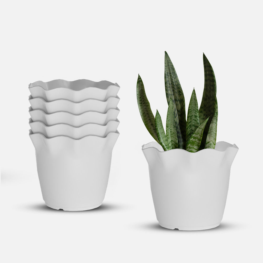 SHERA | FLOWER PLANTER