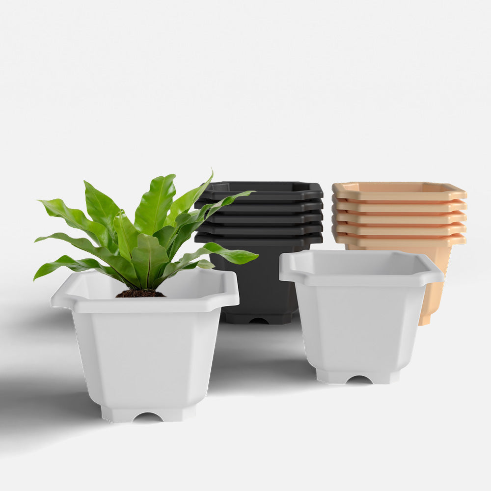SHERA | OCTA PLANTER SET OF 12