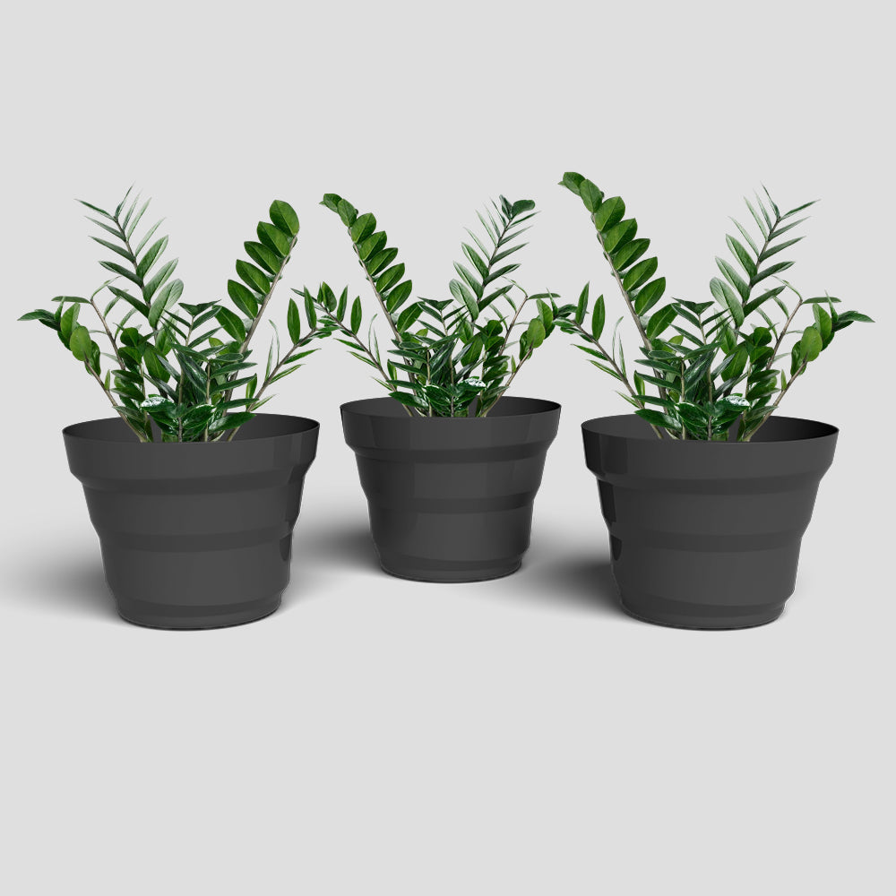 SHERA | RING PLANTER