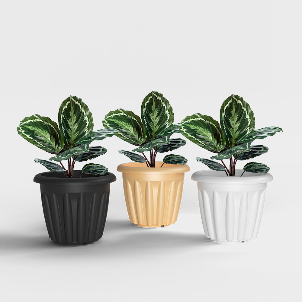 SHERA | FLOOT PLANTER